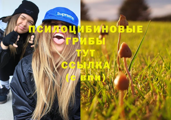 гидропоника Алексин