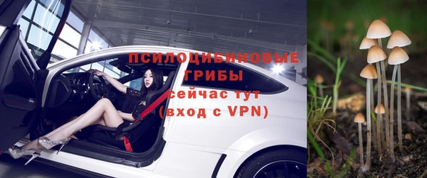гидропоника Алексин